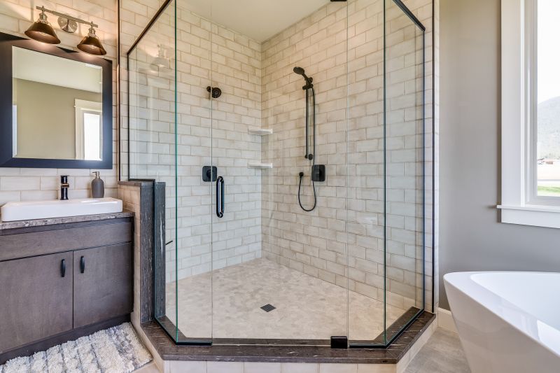 Shower Renovation Ideas